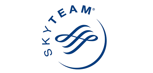 スカイチーム　SKY TEAM